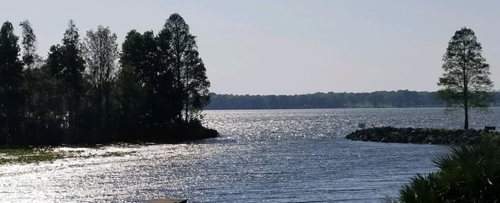 Thonotosassa Homes For Rent