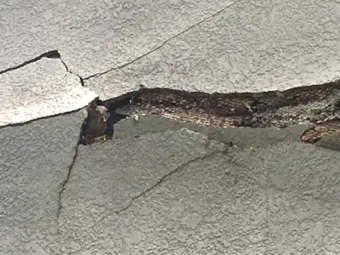 rusted lath