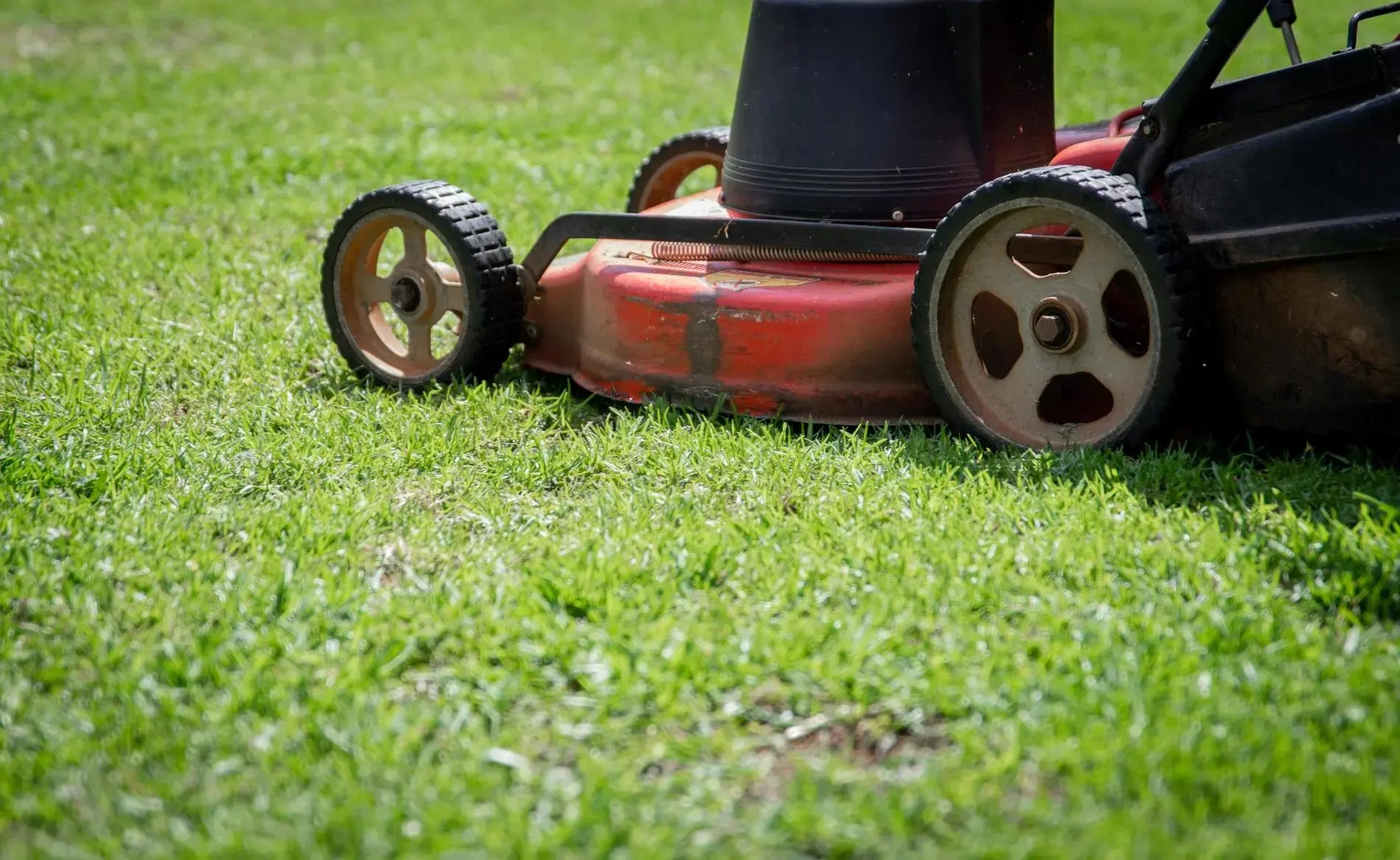 Rental Property Lawn Care